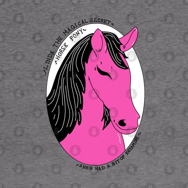 It’s Linda the magical secret horse pony by Princifer